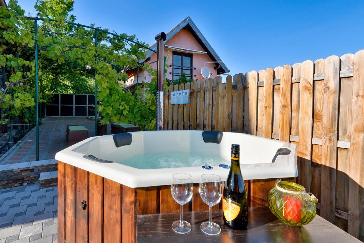 Juras Country House, Bazen, Sauna ,Hot Tube,Vrt Sveti Ivan Zelina 외부 사진