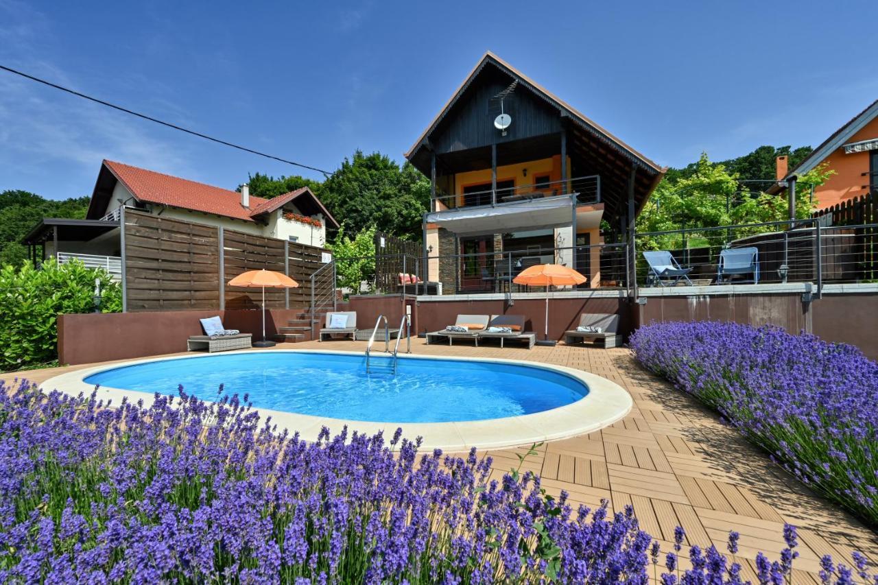 Juras Country House, Bazen, Sauna ,Hot Tube,Vrt Sveti Ivan Zelina 외부 사진